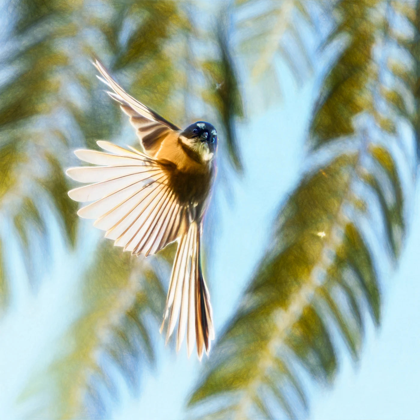bird flying with leaves in the background