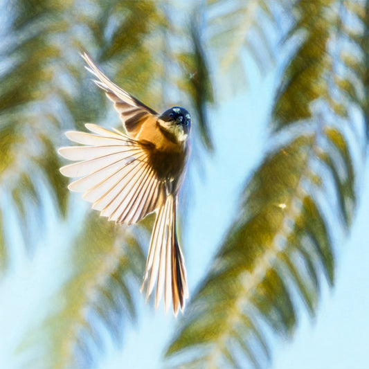 bird flying with leaves in the background