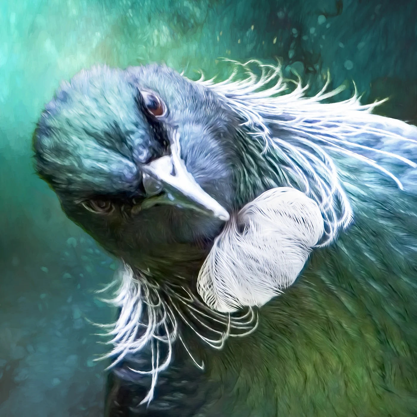 quizzical tui artwork - square version