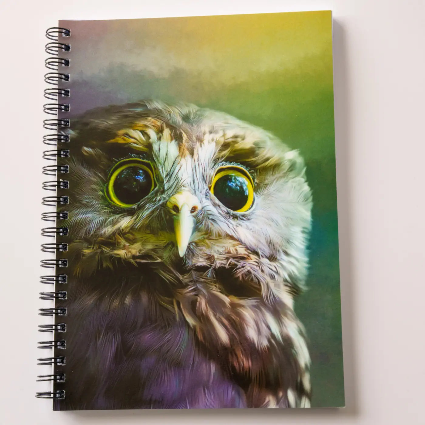 art by jlm ruru notebook
