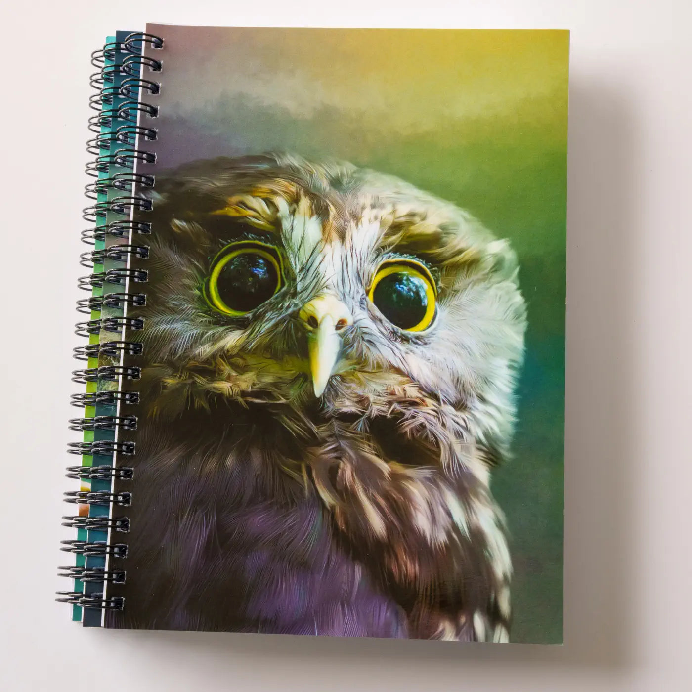 three notebooks in a stack. the top one has a picture of an owl with huge eyes