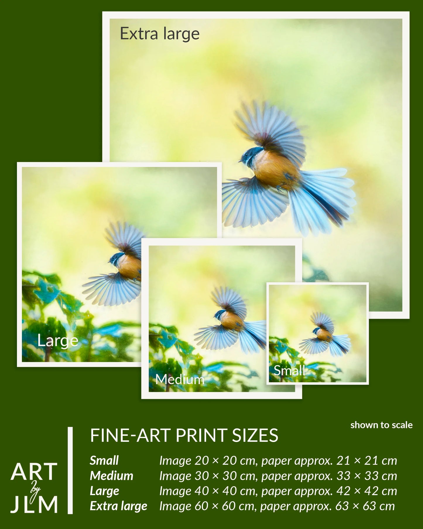 Fine-art print sizes chart with a bird illustration on a green background