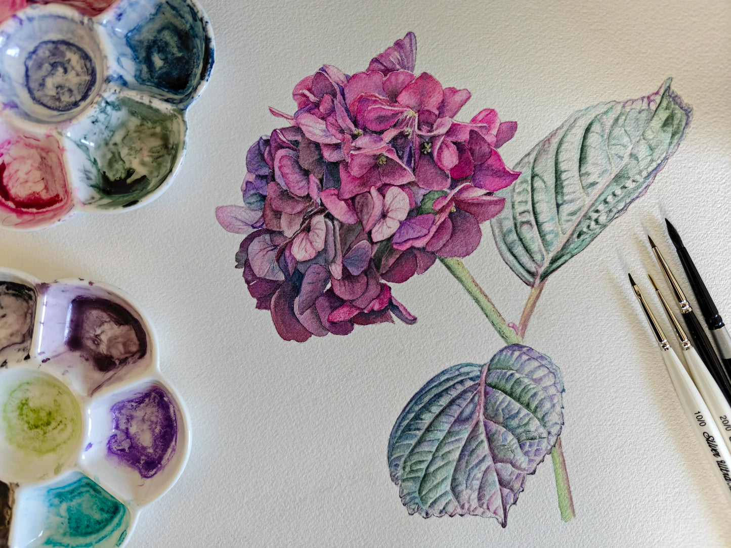 Artistic depiction of a purple hydrangea flower with green leaves on a white background, surrounded by art supplies.