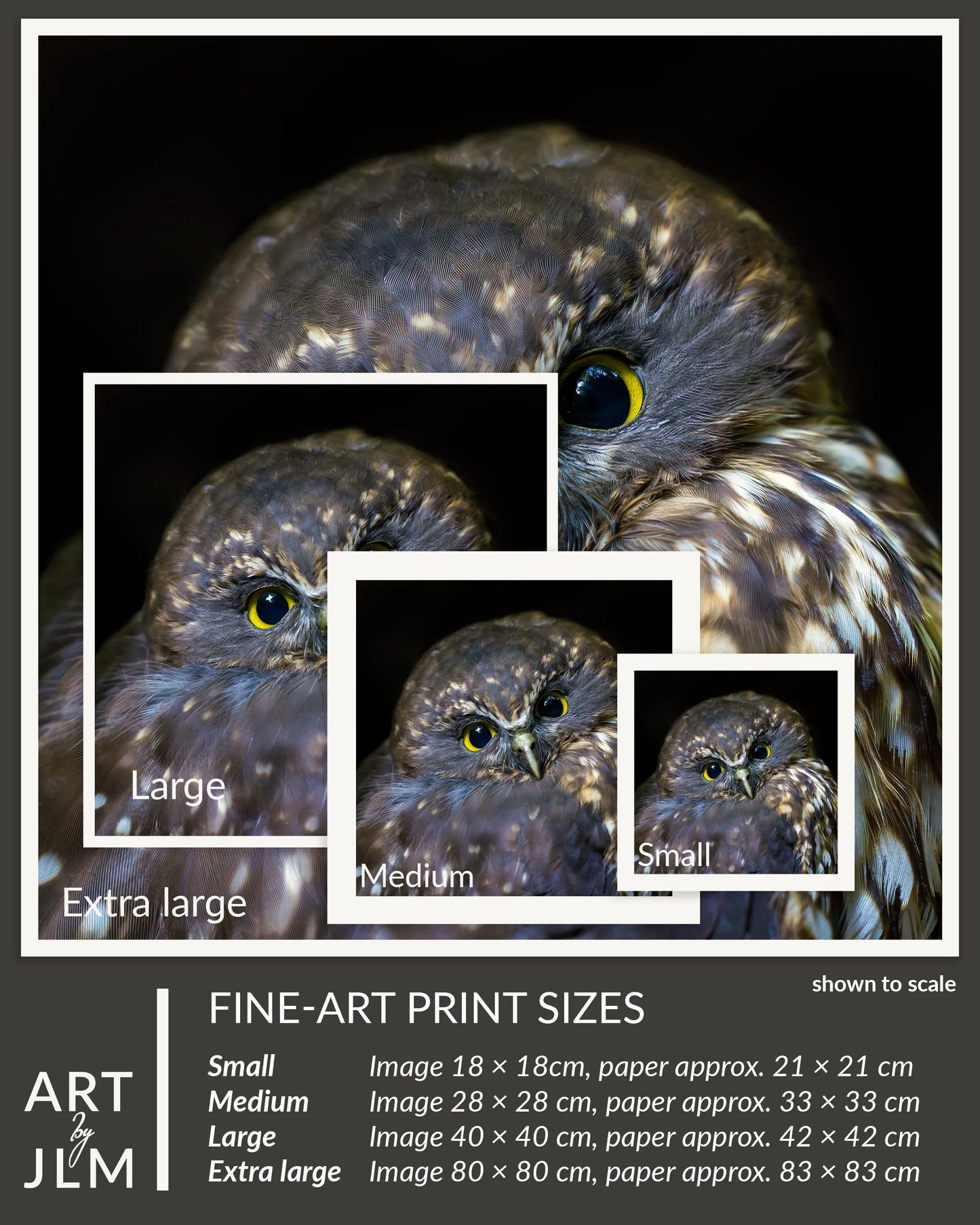 Owl with size comparison boxes and fine-art print sizes displayed.