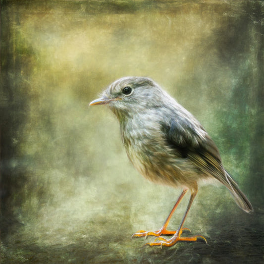 Little bird in protfile