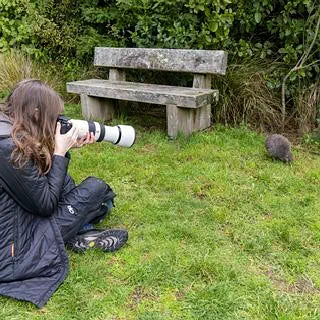 Judi photographing a kiwi pukupuku