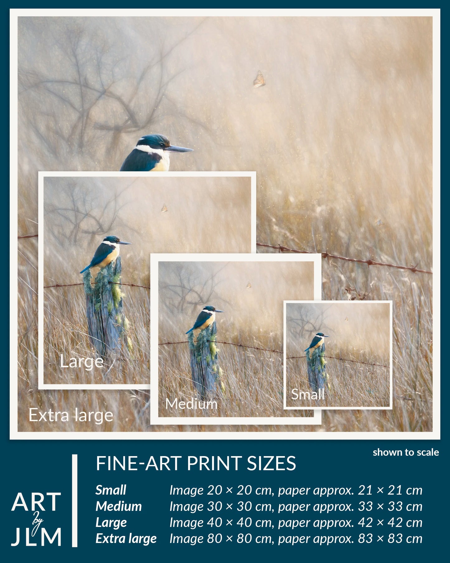 Fine-art print sizes of a bird in a natural setting with scale indicators.