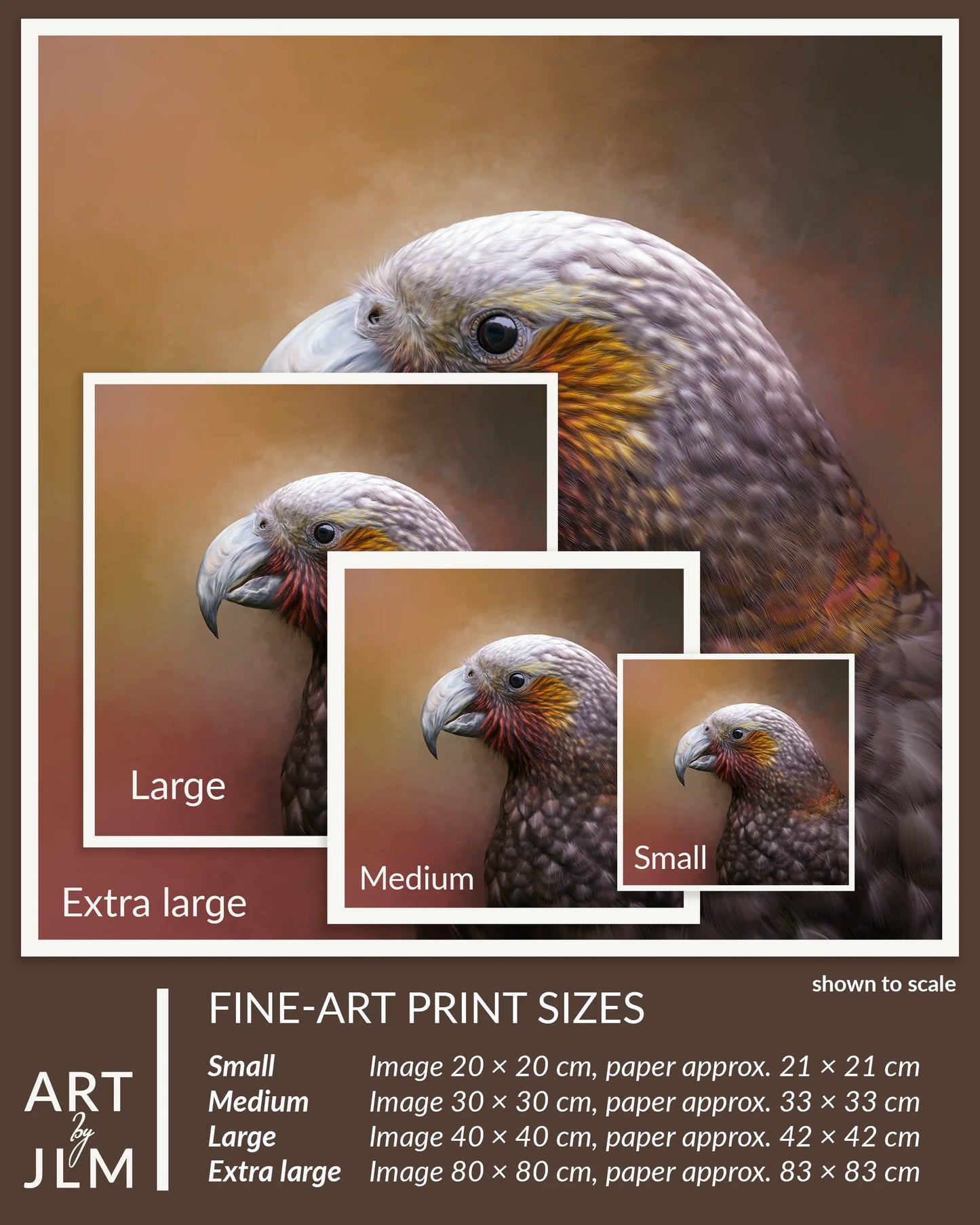 Fine-art print sizes of a parrot with scale indicators on a brown background