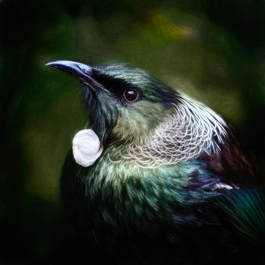 Stunning tui profile artwork by Art by JLM