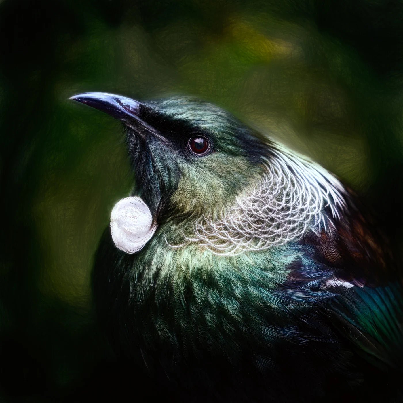 Stunning tui profile artwork by Art by JLM