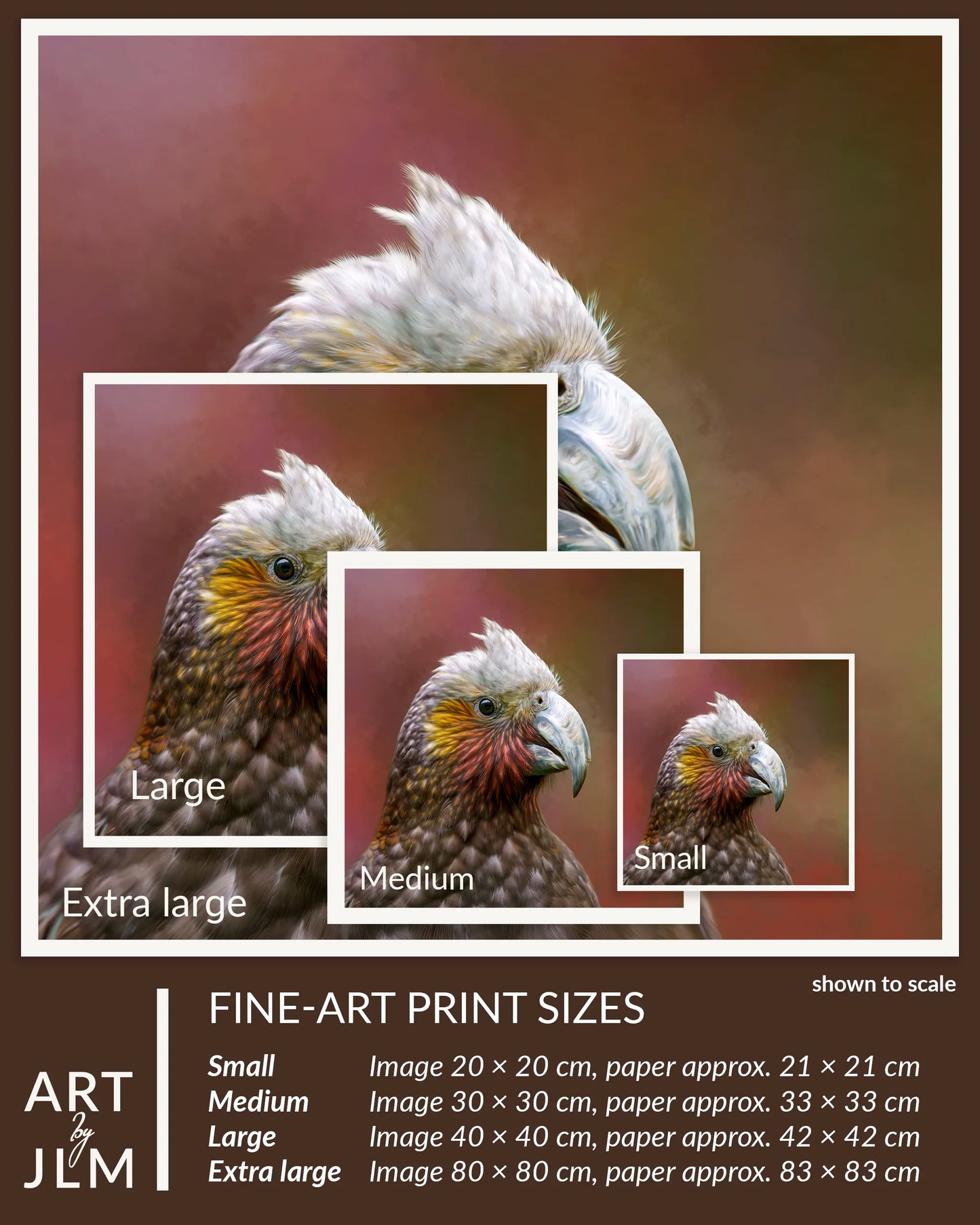 Paining of a kākā showing prints in various sizes