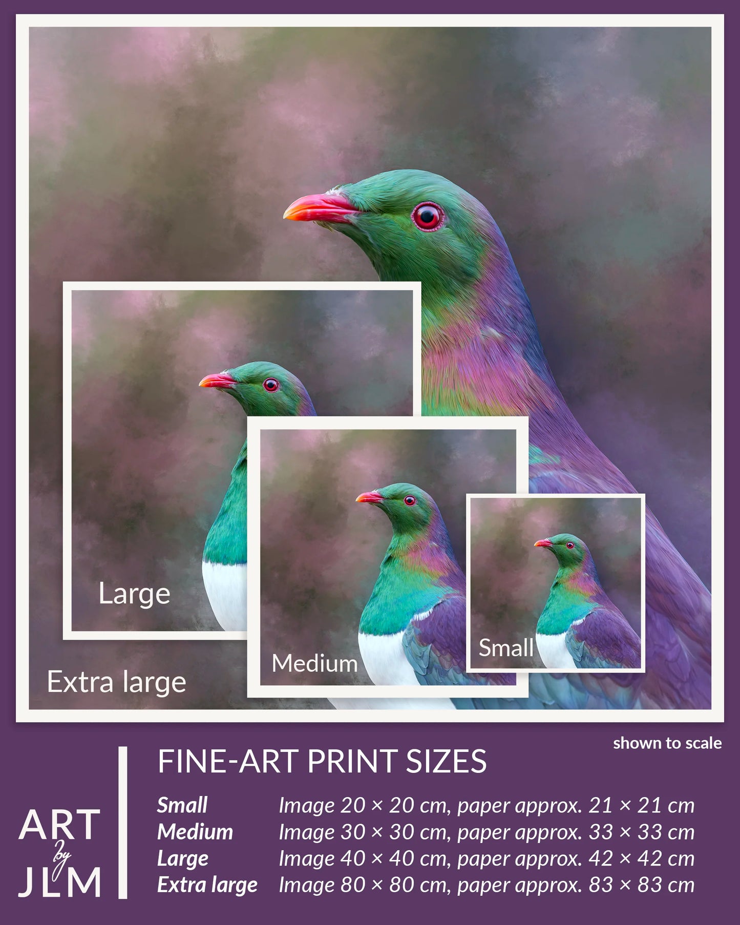 Fine-art print sizes of a colorful bird with scale and paper size information.