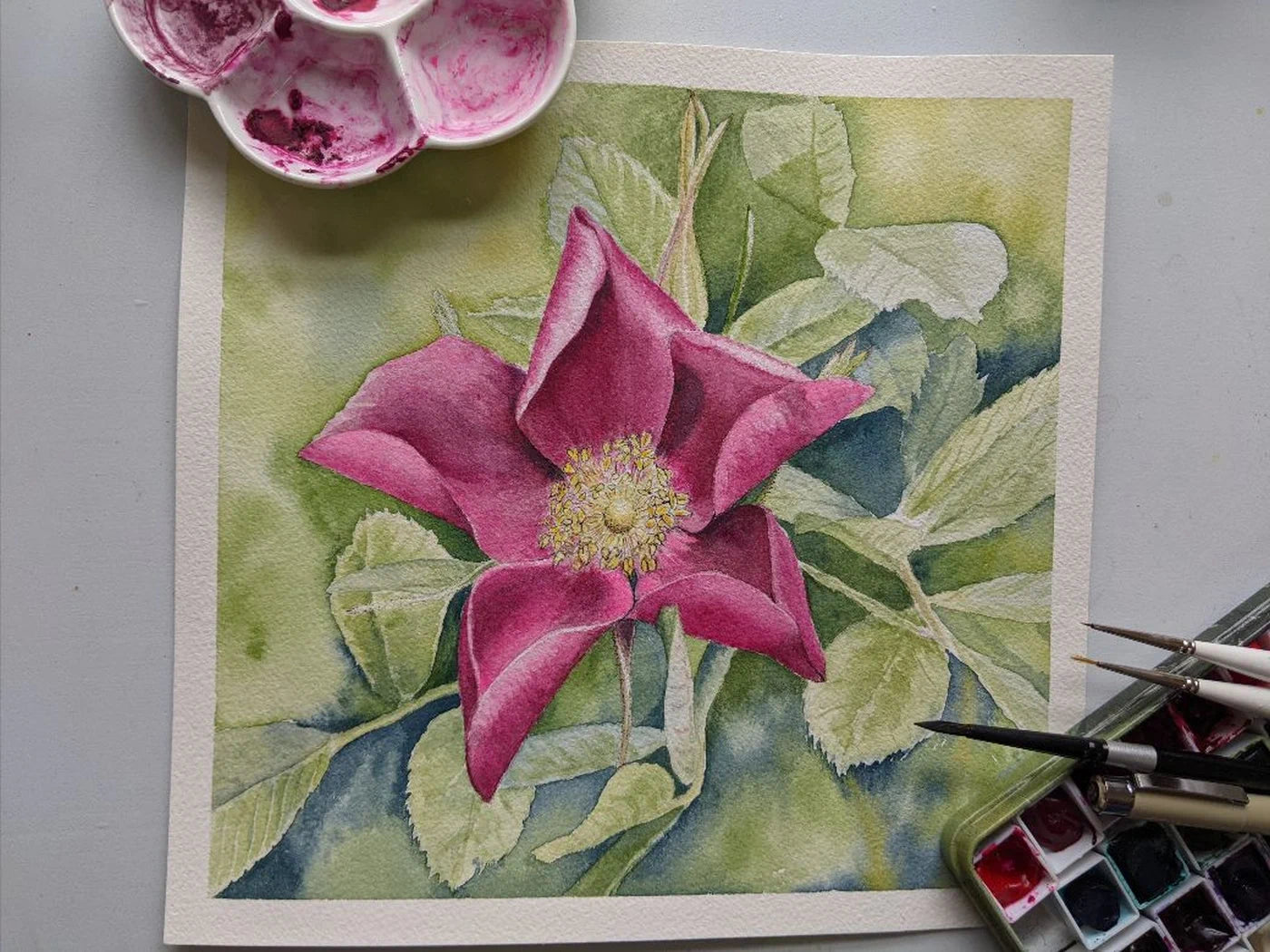 Stunning rose watercolour painting