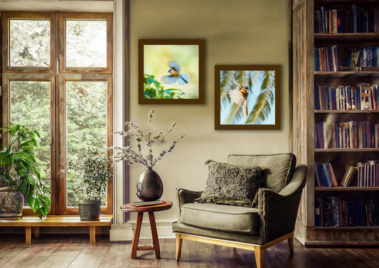 two fantail paintings hanging in a cosy library