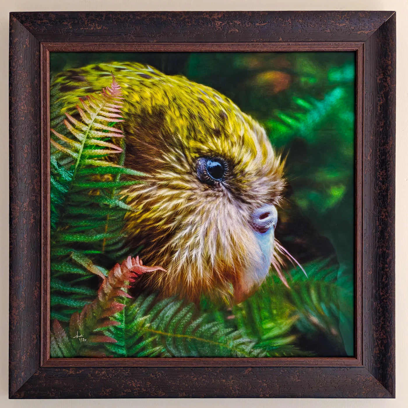 Framed picture of a kākāpō