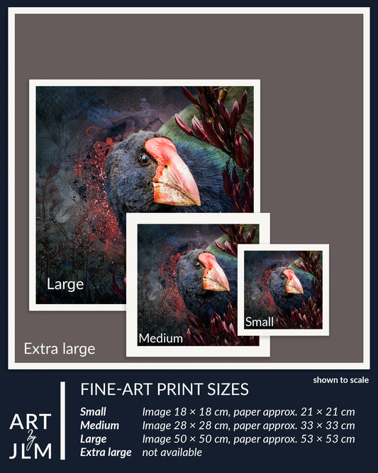 Artistic depiction of a takahe with size comparison labels on a gray background