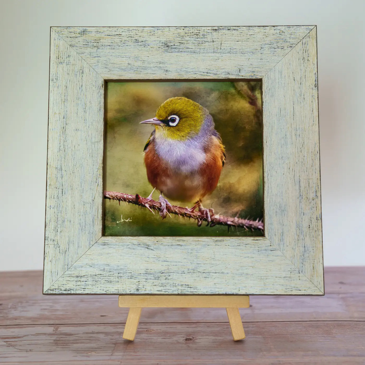 Framed TinyArt