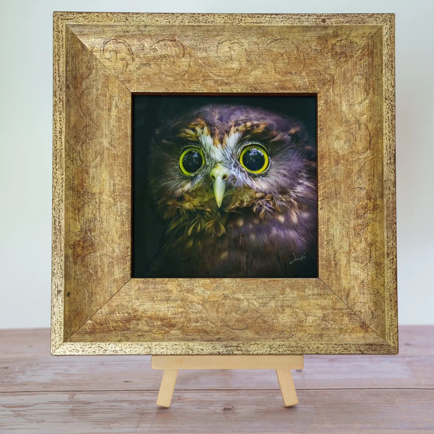 Framed TinyArt