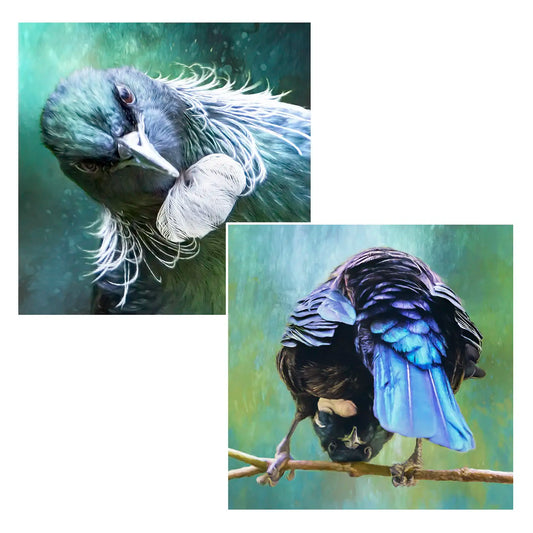 two tui portraits of birds in quirky poses - square variants