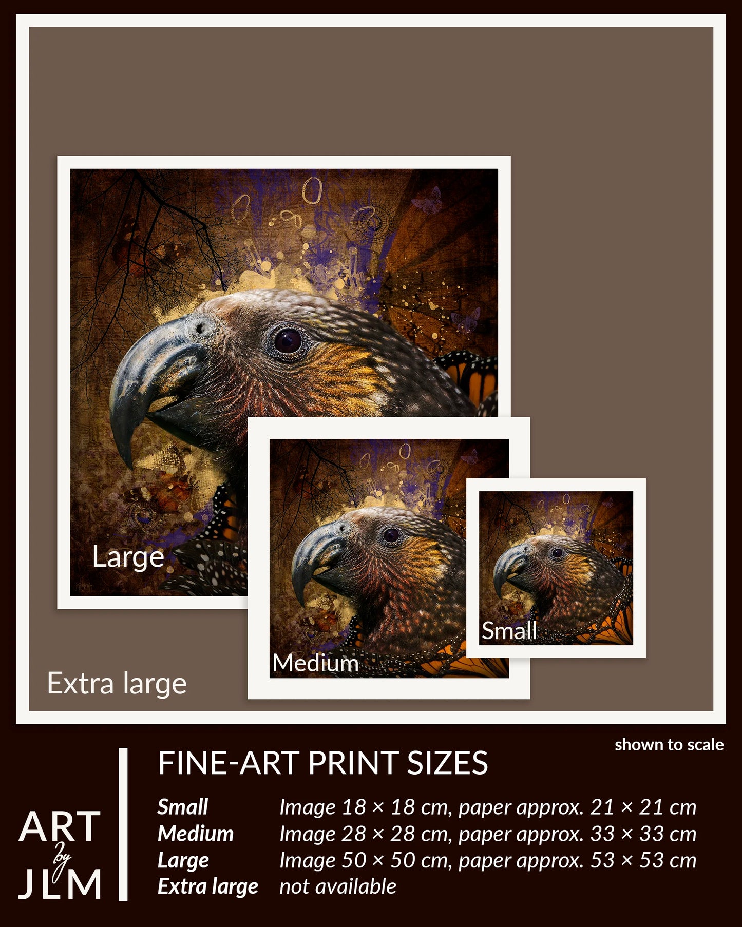 Print sizes to scale