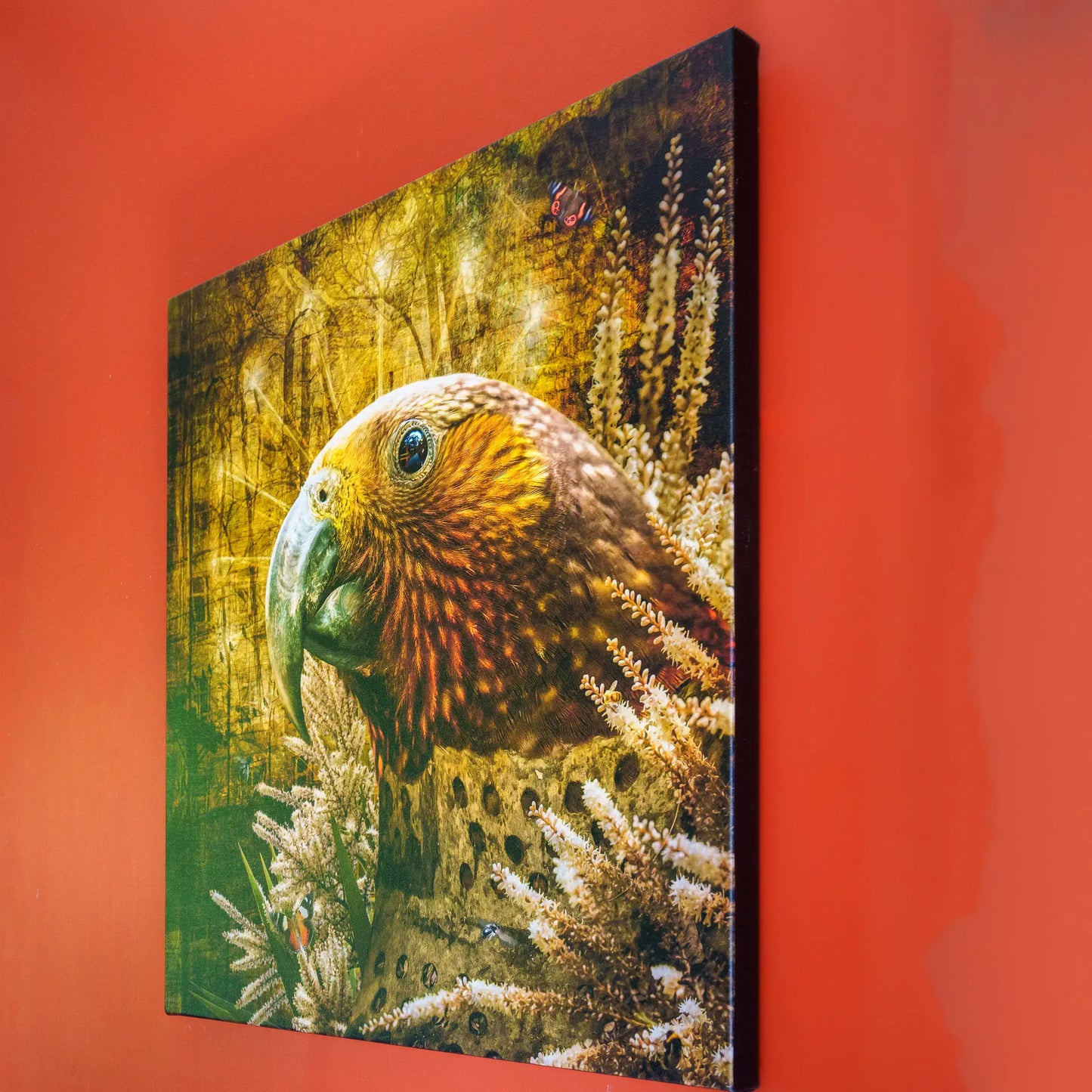 Photograph of a kākā canvas print on a red wall - angled view