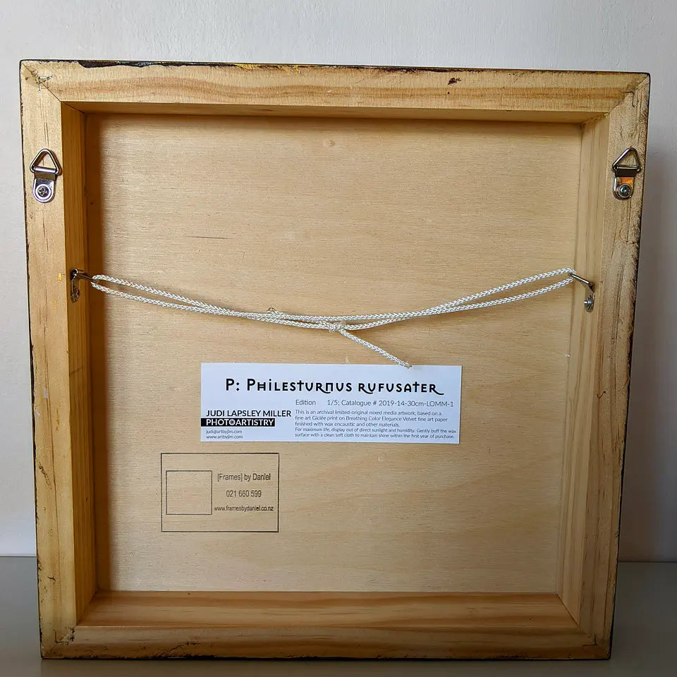 Back view of the artwork showing hanging hardware and wooden cradle board