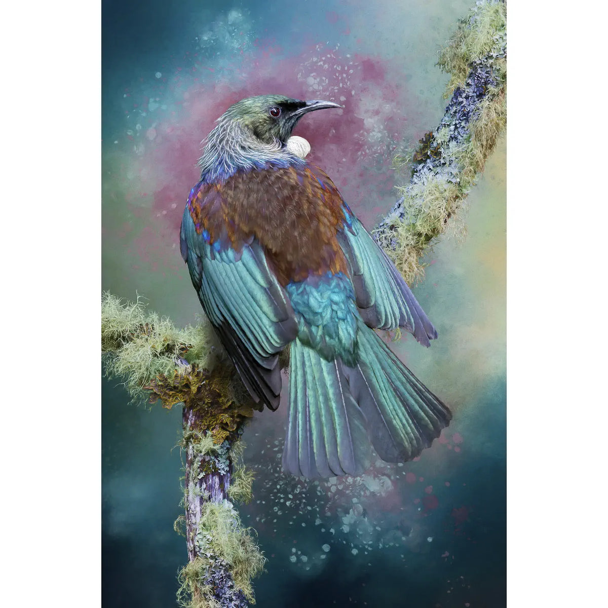 an artwork of a tūī with iridescent feathers on a lichened branch