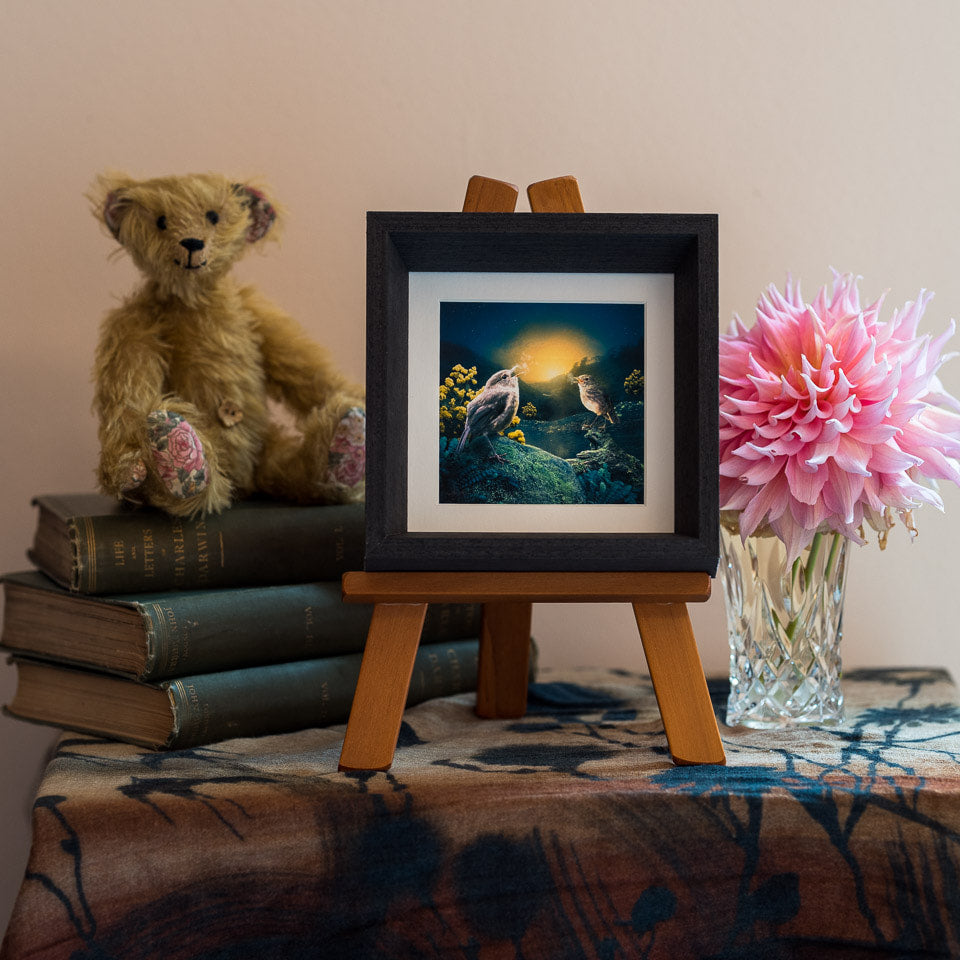 Photo of the framed TinyArt print