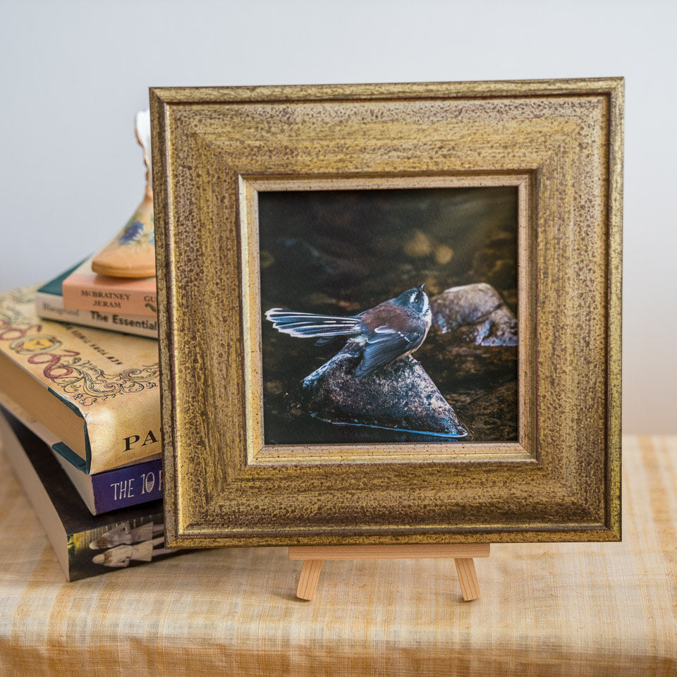 Photo of the framed TinyArt print