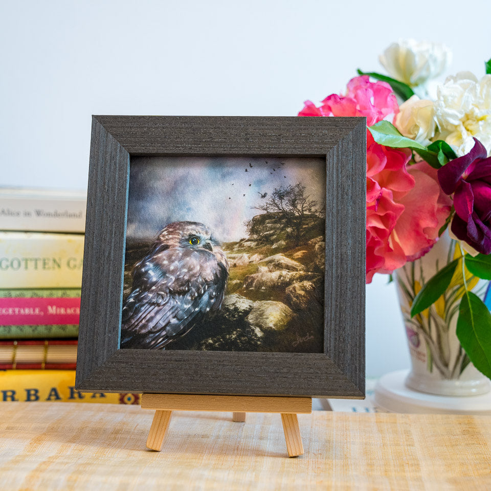 Photo of the framed TinyArt print