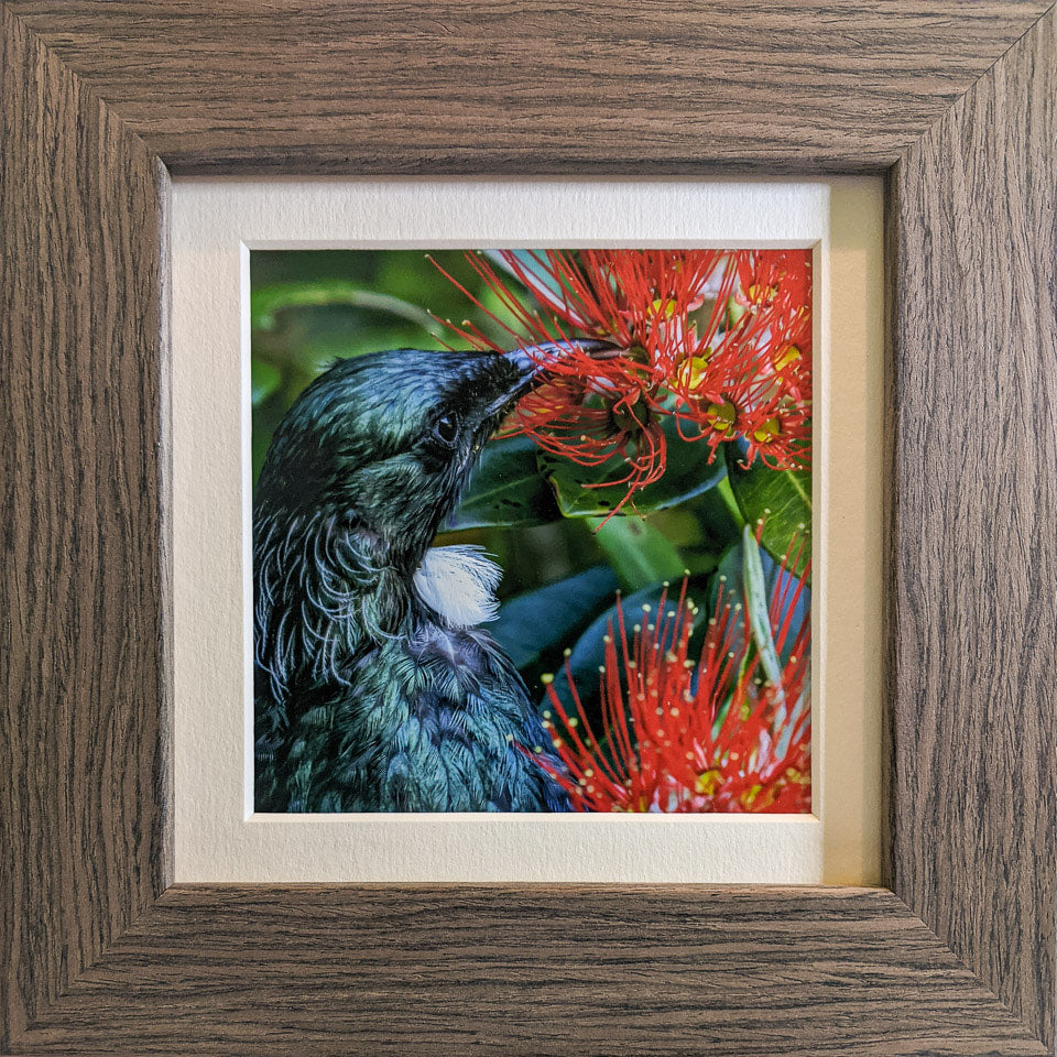 Photo of the framed TinyArt print