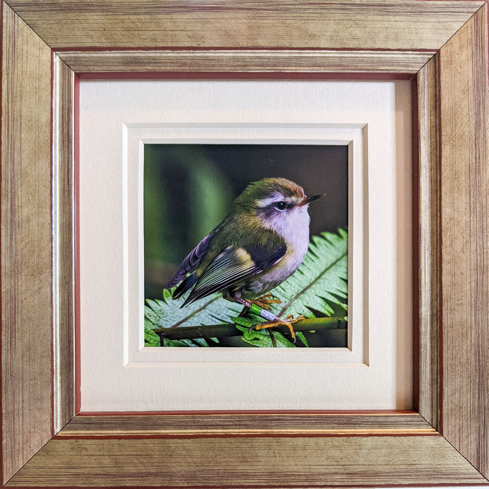 Photo of the framed TinyArt print