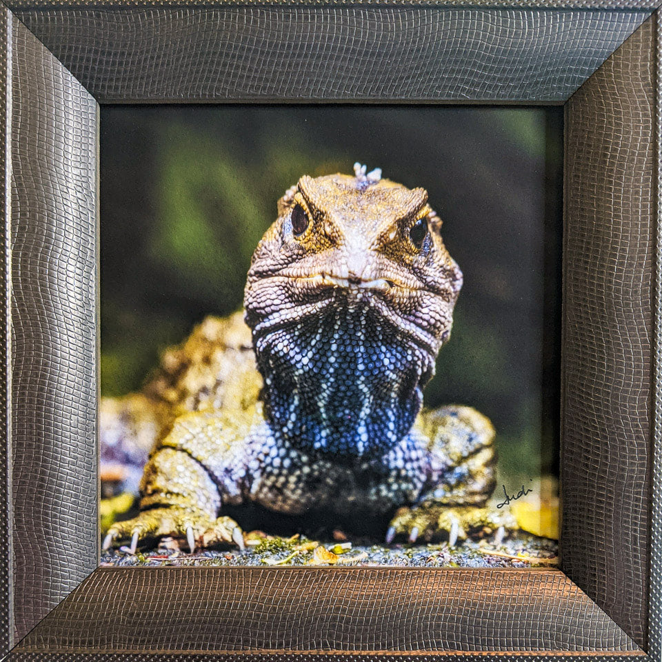 Photo of the framed TinyArt print