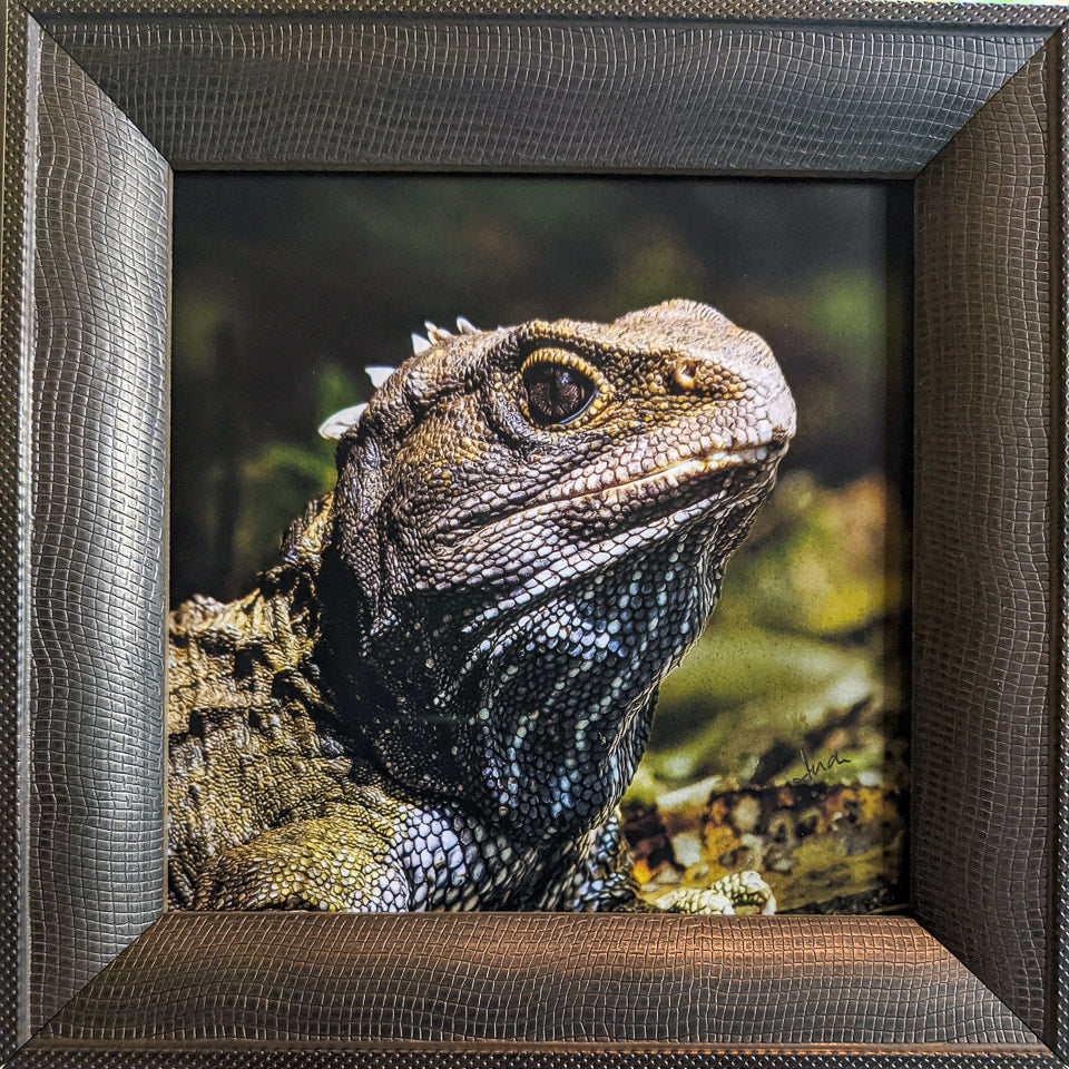 Photo of the framed TinyArt print