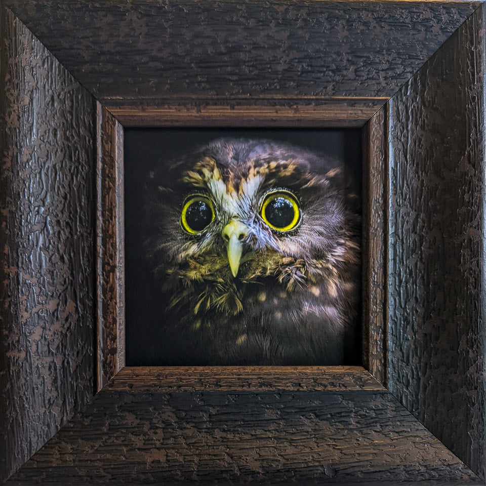 Photo of the framed TinyArt print