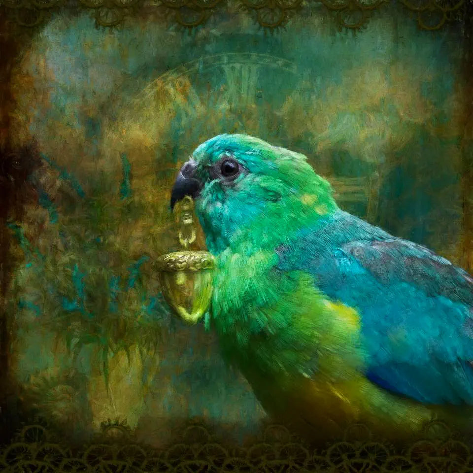 An artwork of a parakeet holding an acorn ornament from a chaterlain