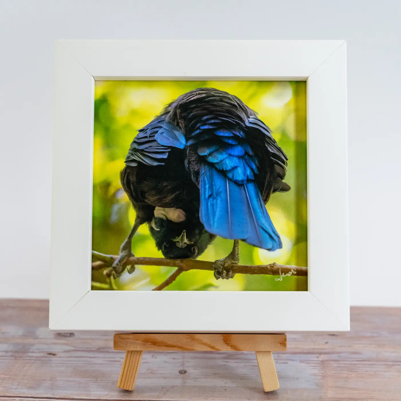 Framed TinyArt