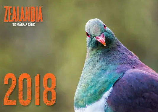 Zealandia calendar cover for 2018 featuring a quizzical kereru