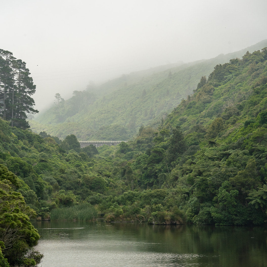 Misty Zealandia valley is also partially smoke from bushfires