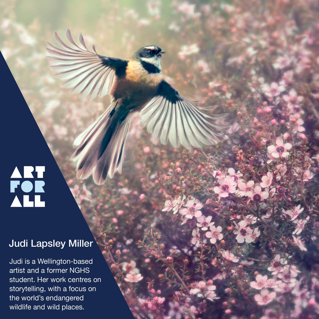 Art for All Exhibition - Napier Girls' High School 2026