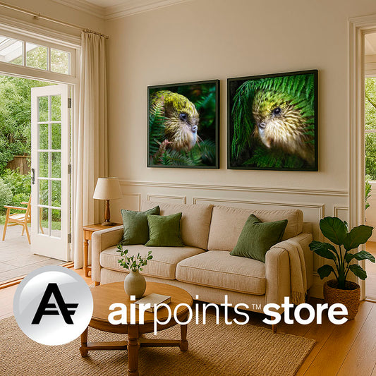 Living room with great indoor outdoor flow, decorated in cream and green with large prints of kakapo parrots on the wall