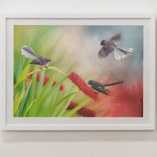 Three fantails flying around a red flower