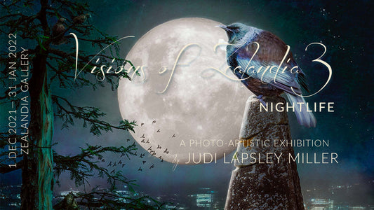 Exhibition Banner with moon and tui