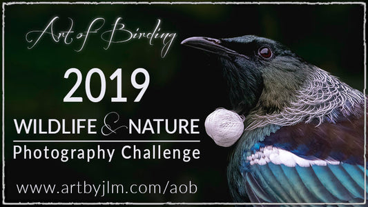 Banner for the challenge in 2019