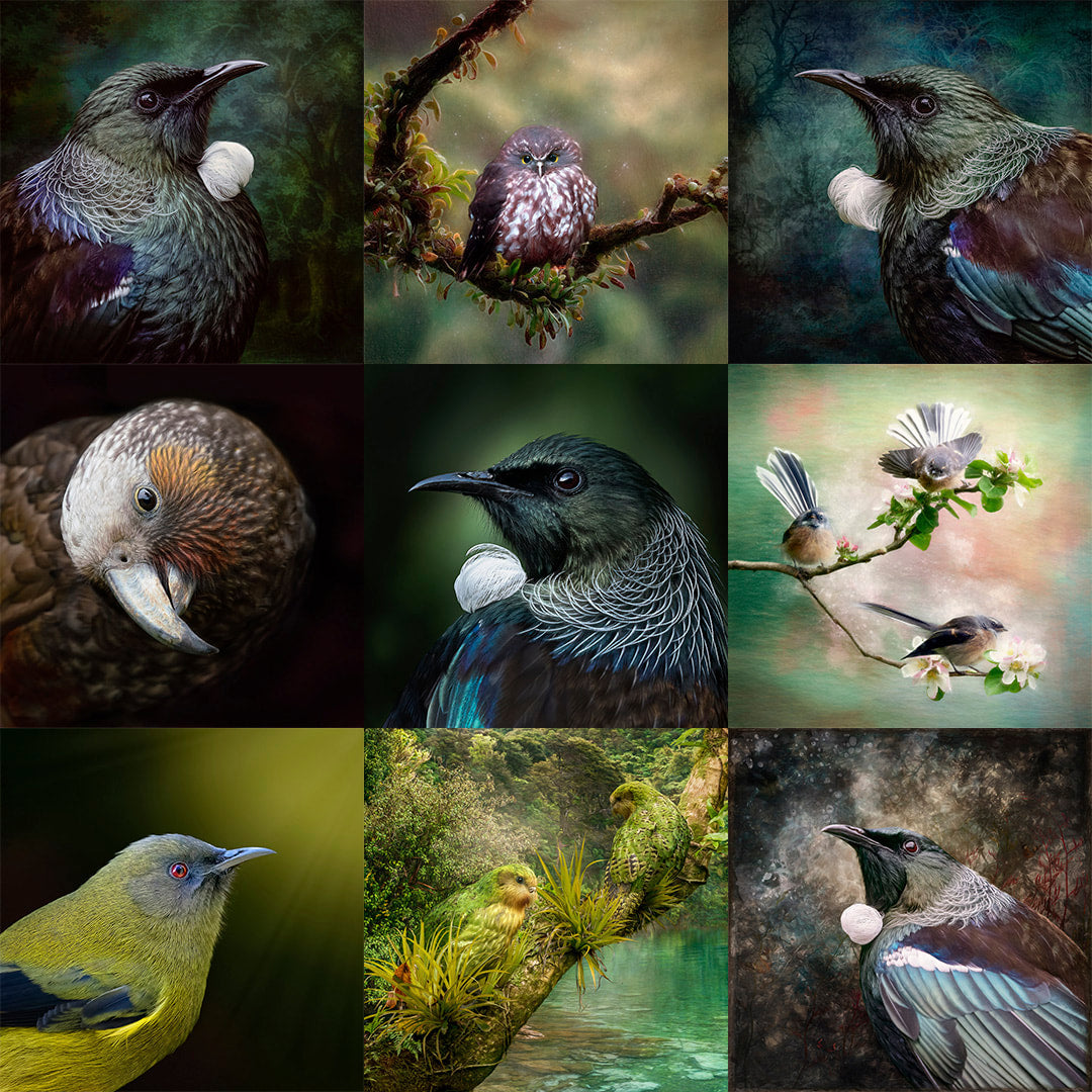Tiled images showing my most popular photoart pieces - all feature birds