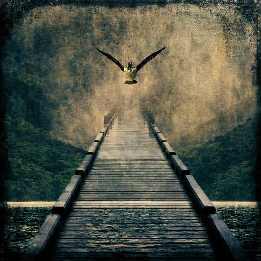 Photoart of a bird flying over a pier