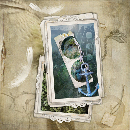 Photo-art featuring kākāpō