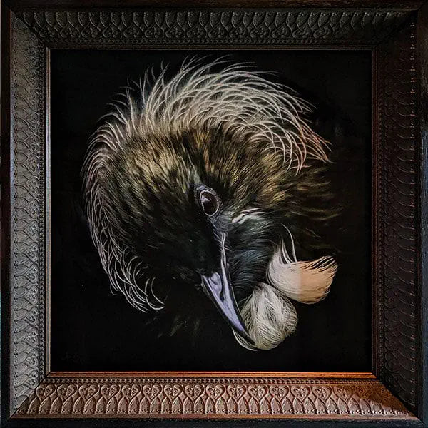 Framed photo of a tui bird