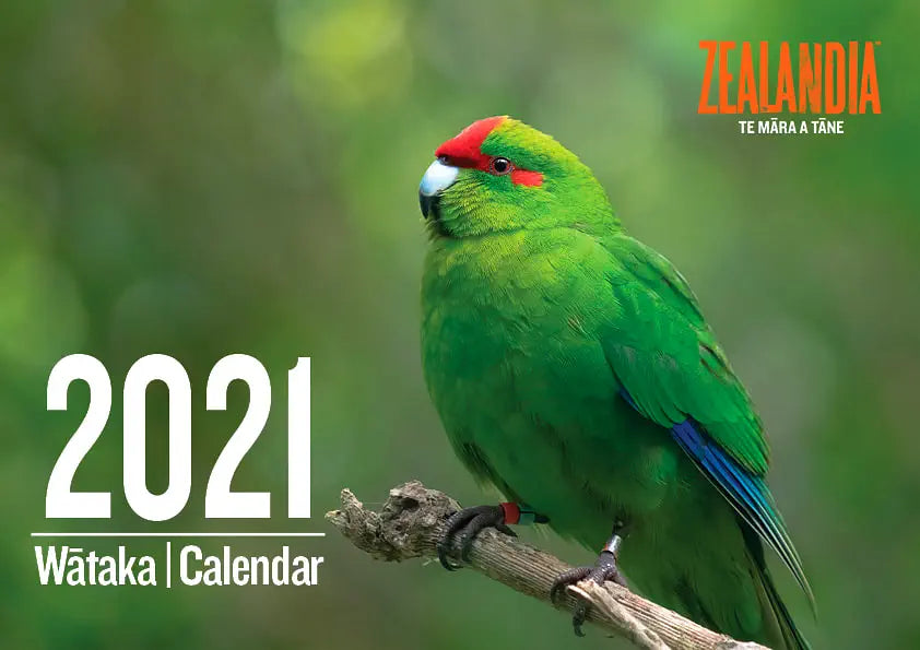 2021 calendar cover with kakariki