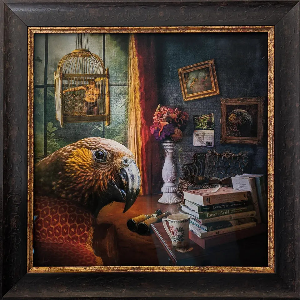 framed artwork of a kaka